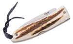 8800 CE LionSteel Folding knife with D2 blade, stag handle with sheath