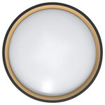 Modee kerek LED mennyezeti lámpa CLG1BK 30W 3CCT+RGB 2000lm, fekete, vezérlővel (ML-CLFG1BK)