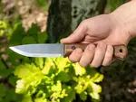 BSH6 Beavercraft Breeze Bushcraft kés