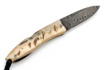 8800D MN LionSteel Opera Damascus Heinsgringla Ram Handle, wood box