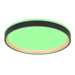 Modee kerek LED mennyezeti lámpa CLG1BK 30W 3CCT+RGB 2000lm, fekete, vezérlővel (ML-CLFG1BK)