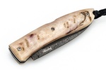 8800D MN LionSteel Opera Damascus Heinsgringla Ram Handle, wood box