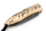 8800D MN LionSteel Opera Damascus Heinsgringla Ram Handle, wood box