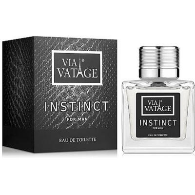 BI-ES VIA VATAGE INSTINCT pánska toaletná voda 100 ML