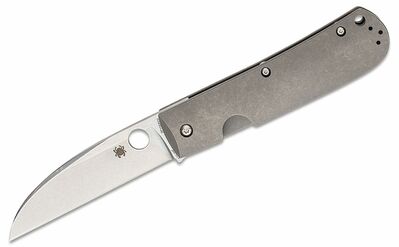 Spyderco C249TIP SwayBack Titanium kapesní nůž 9 cm, titan
