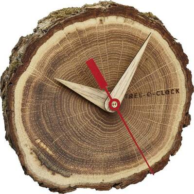 60.1028.08 TFA Tree-o-Clock Nástenné hodiny z dubového dreva, vrátane batérie