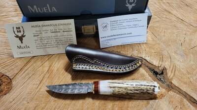 BW-6DAM Muela 75mm Stainless ocel Damascus blade, stag handle