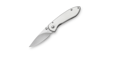 Buck BU-0325SSS 325 Colleague Stainless vreckový nôž 4,8 cm, nerezová oceľ