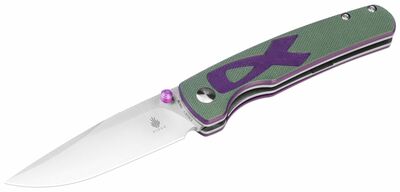 Kizer V3633C1 Fighter Purple & Green vreckový nôž 8,1 cm, fialová, zelená, G10