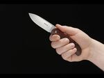 Böker Plus 01BO022 Exskelibur I Cocobolo kapesní nůž 8,9 cm, dřevo Cocobolo, titan