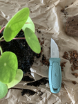 13855 Morakniv Eldris LightDuty™ (S) mentazöld