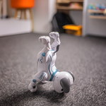 Maxlife MXRD-100 távirányítós kutya (OEM0200577)