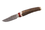 BW-6DAM Muela 75mm Stainless ocel Damascus blade, stag handle