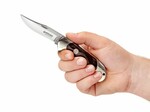 Böker Manufaktur Solingen 112007 Scout Buffalo kapesní nůž 8 cm, buvolí roh