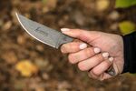 LION-TBF TOPS Knives Lioness Rockies Edition