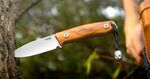 M1 UL LionSteel Fixed knife m390 blade Olive wood handle, leather sheath, Ti Pearl