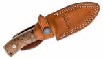 M4 WN LionSteel Fixed Blade M390 satin Walnut hwood andle, kožený sheath