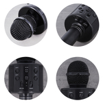 Maxlife MX-300 mikrofón s reproduktorom OEM0200168 čierna