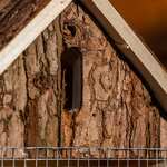 Blumfeldt hmyzí hotel s úzkou špicatou strechou (10038093) drevo
