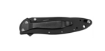 1660CKTST Kershaw LEEK - BLACK, Serrated