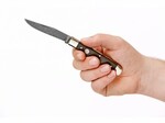 Böker Manufaktur Solingen 112545DAM Trapper Classic Damast kapesní nůž 8,3 cm, damašek, dub Bog