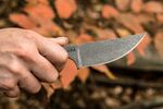 LION-TBF TOPS Knives Lioness Rockies Edition