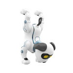 Maxlife MXRD-100 távirányítós kutya (OEM0200577)